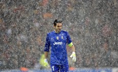 德约科维奇迎来十赛季高光表现，拜仁球迷沸腾！